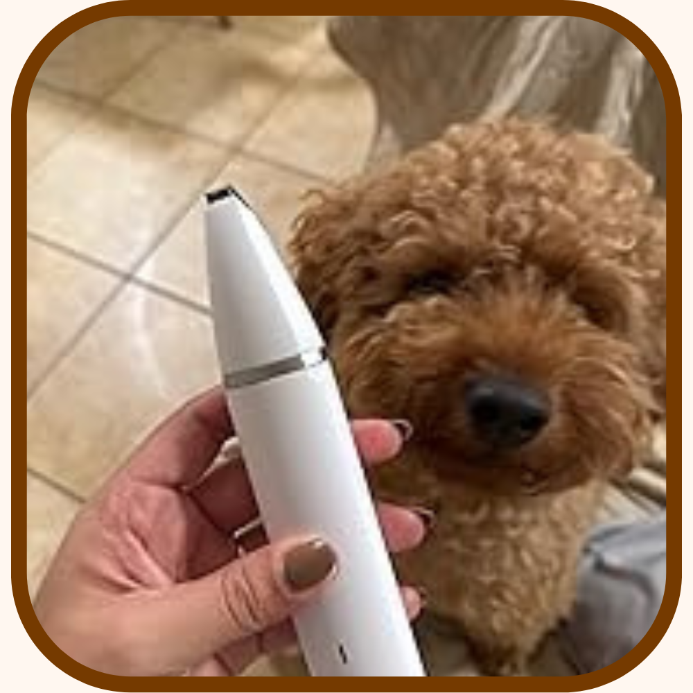 The PawTrim™ 2-in-1 Dog Grooming Trimmer