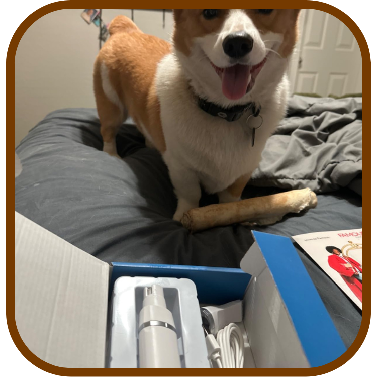 The PawTrim™ 2-in-1 Dog Grooming Trimmer